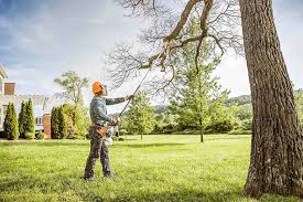 Best Storm Damage Tree Cleanup  in Combined Locks, WI